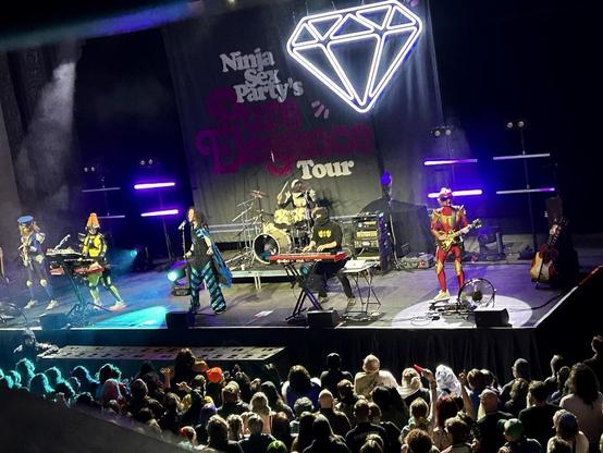 Picture of the band Ninja Sex Party performing onstage before a crowd, backed by TWRP and lit by white, purple, & teal lights. Danny Sexbang wears a striped teal-and-black jumpsuit with a flowing cape, and Ninja Brian wears a ninja outfit. The gemstone emblem on the backdrop is lit up white.