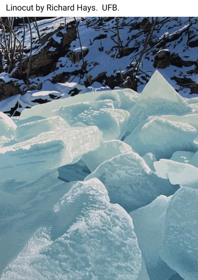 A winter scene featuring broken ice sheets cracked and piled up near a shore line of shrubs, small trees, rocks and boulders. The sun is shining from the above right, lighting up the icy tops, and casting shadows below the broken pieces. 

It is linocut art.