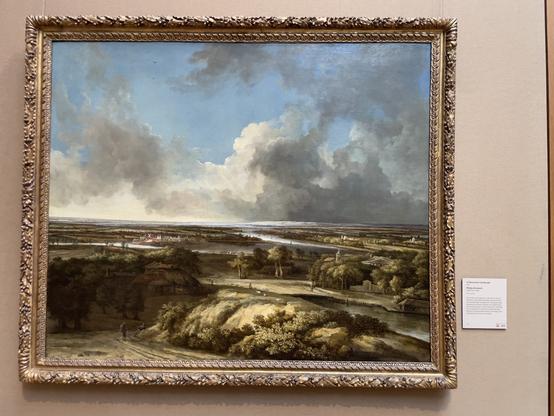 A large painting by 17th century Dutch artist Phillips Koninck of an imagined Dutch landscape.