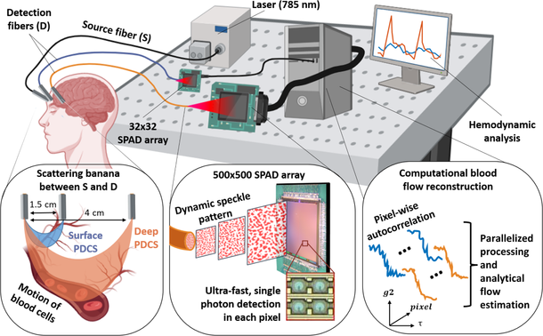 Basic principle and experimental setup of parallelized diffuse correlation spectroscopy. This figure is from the technical paper.