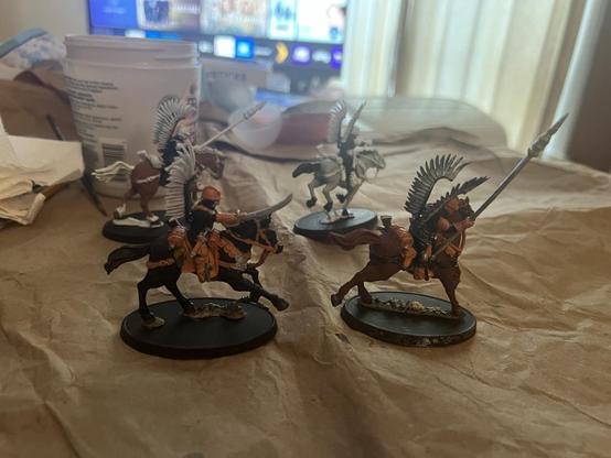 Warhammer 40K Miniatures

Victoria Miniatures 

Four winged hussar style rough riders. Two in foreground mostly painted, black and orange uniforms. One horse black, rider wielding saber. One brown horse with darker main, rider wielding spear. 

Two in background only partially painted.