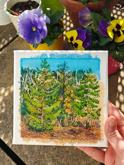 A painting on canvas by me in my garden