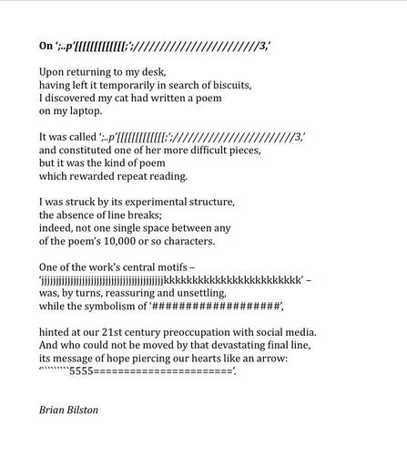 On ‘;..p’[[[[[[[[[[[[[;’;////////////////////////3,’
 
Upon returning to my desk,
having left it temporarily in search of biscuits,
I discovered my cat had written a poem
on my laptop.

It was called ‘;..p’[[[[[[[[[[[[[;’;////////////////////////3,’
and constituted one of her more difficult pieces,
but it was the kind of poem
which rewarded repeat reading.
 
I was struck by its experimental structure,
the absence of line breaks;
indeed, not one single space between any
of the poem’s 10,000 or so characters.
 
One of the work’s central motifs –
‘jjjjjjjjjjjjjjjjjjjjjjjjjjjjjjjjjjjjjjjjjjkkkkkkkkkkkkkkkkkkkkkkkk’ –
was, by turns, reassuring and unsettling,
while the symbolism of ‘###################’,
 
hinted at our 21st century preoccupation with social media.
And who could not be moved by that devastating final line,
its message of hope piercing our hearts like an arrow:
‘`````````5555=======================’.


Brian Bilston
 