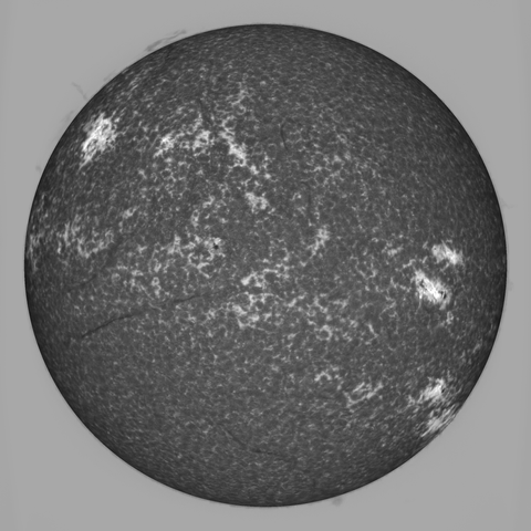 An image of the sun in CaH. Near the middle from left to the center, a very large filament is visible.