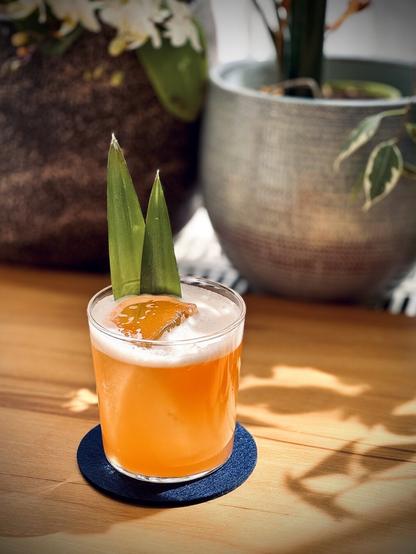 a light red cocktail with large rock of clear ice and pineapple frond garnish sitting on a blue felt coaster in the sun with plants in the background