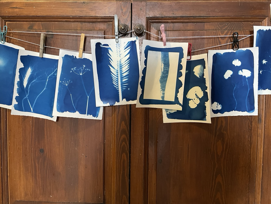 Une série de cyanotypes en train de sécher devant deux portes de placard