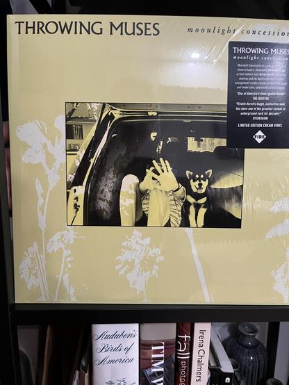 Album cover. Ivory/tan background with white flower shapes. In the center is a black and white (well, tan background instead of white) of a woman and a husky puppy sitting in the hatch area of a car. The woman is hiding her face.