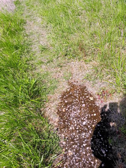 El sacrosanto prado permite los caminos que lo crucen, incluso que lo coman, nunca que lo asfalten, los muertos abajo...
