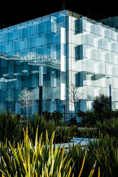 On the front some green plants, in the back the corner of a glass building, the geometry of its shapes and the reflection of the other. The shadow on the top make it look like it's very dark above, outline the blueish colours.