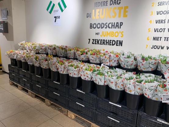 Wand in een Jumbo supermarkt met eindeloos veel bossen tulpen, met een poster met Rotterdamse vlaggen met “Voor de mooiste, op de mooiste”. Op de muur staat promotie voor Jumbo’s 7 zekerheden.