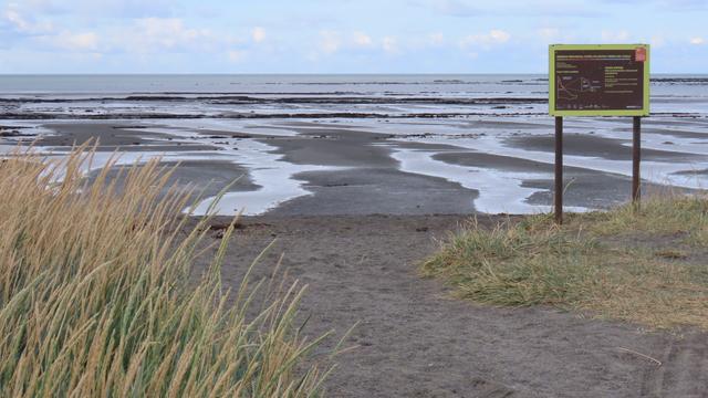 Im Naturschutzgebiet. Im Moment ist Ebbe