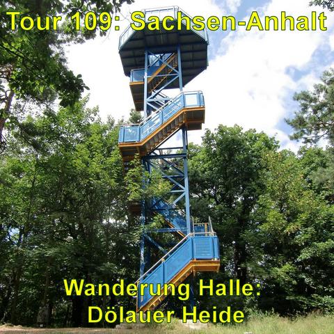 Ein blauer Aussichtsturm aus Metall mit mehreren Treppenabsätzen in einem Waldgebiet. Der Turm erhebt sich über die umgebenden Bäume und scheint eine Plattform an der Spitze zu haben, die als Aussichtspunkt dient. Die Vegetation besteht hauptsächlich aus hohen Bäumen, und das Licht scheint durch das Blattwerk.