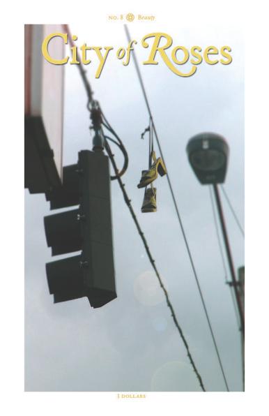 No. 8, “Beauty.” Looking up at a traffic light hung from a heavy cable stretched at a sharp angle across a street, or an intersection, a streetlight, unlit, behind, above, all under a soft grey sky. Slung from a lighter parallel wire a pair of yellow high-heeled slingbacks, tied together by a bit of rope and tossed up to dangle there, so high.