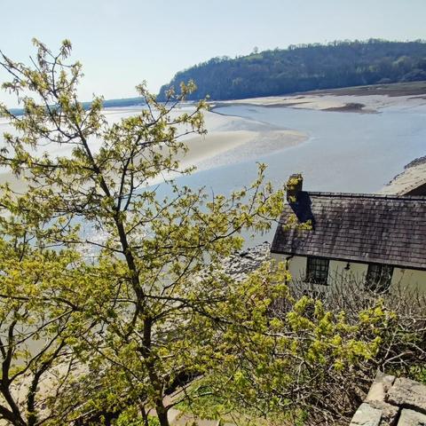 A beautiful sunny day: there's a muddy beach and low tide sea, woodland in the far distance, a historic boathouse and a budding tree in the foreground. It's ludicrously beautiful and summery.