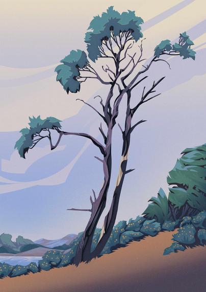 Two pine trees with sparse branches and spiky foliage on the top against an evening blue sky, with bushes, a lake and mountains in the background.