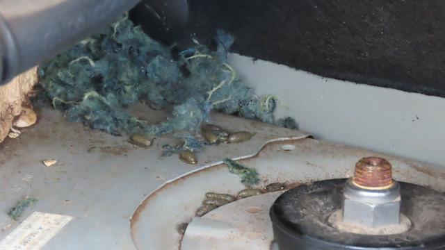 Da wollte jemand den Dämmstoff vom Auto klauen...oder ein Nest bauen.