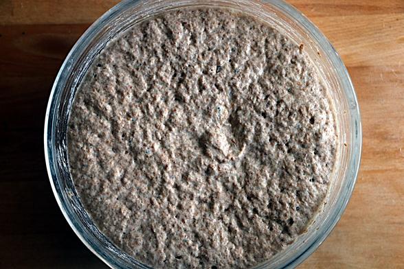 Overhead shot of a slightly disturbing pale brown mass in a pyrex bowl with small bubbles on its surface. 

A poolish is a high hydration pre-ferment. This was 400g flour, 600g water, 3g yeast, 12g salt, 25g sugar.  After the first signs of bubbles were seen, just to show the yeast was working, it spent 18 hours in the fridge.