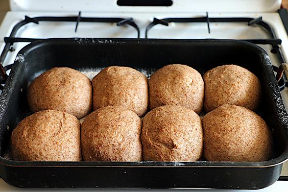 Shaped and risen dough balls, 185g each,  in a baking tray