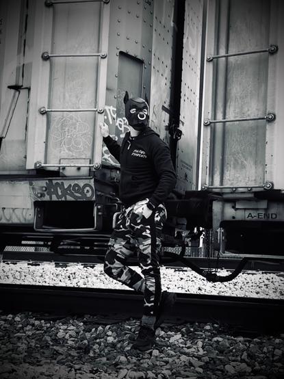 A striking black and white image captures an enigmatic figure standing beside a graffiti-covered train car, exuding an air of rebellious energy and urban exploration. The scene is set against the stark backdrop of railway tracks, with coarse gravel spreading beneath the subject's feet.
The focal point is a person adorned in a sleek, black neoprene puppy hood, its smooth surface gleaming even in the monochromatic palette. The hood's canine features are accentuated by a prominent muzzle and perked ears, giving the wearer an animalistic allure. Bright, round eyes peer out from the mask, hinting at a playful yet intense gaze beneath.
The figure's attire is a study in contrasts. A dark, long-sleeved top bears the cryptic text "dog park dissidents," hinting at the wearer's affiliation with puppy play and punk culture. This is juxtaposed against camouflage-patterned pants, their mottled design a nod to military aesthetics and urban warfare chic.
The subject's pose is dynamic and confrontational. One arm is raised, fingers splayed in what could be interpreted as a rebellious gesture or perhaps the act of tagging the train car behind them. The other arm hangs loosely by their side, conveying a sense of casual confidence.
The train car looms large in the background, its metal surface a canvas for street artists. Layers of graffiti tags and faded paint create a palimpsest of urban expression. The car's industrial design is evident in the riveted panels and sturdy ladders affixed to its 