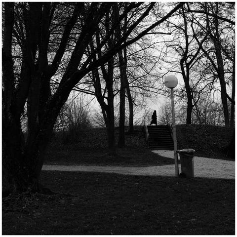 A park with many trees in the frame. In the background a short stairway with a person swiftly walking by at the top end.