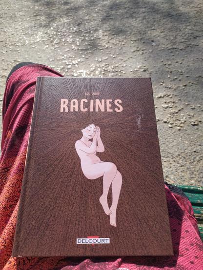 Couverture de la bd, dans les tons marron. Au centre, une jeune fille est allongée en position fœtale. Tout autour d'elle, sur l'ensemble de la couverture, sont étendus ses cheveux crépus. Les cheveux sont en relief et brillent un peu au soleil, c'est magnifique.