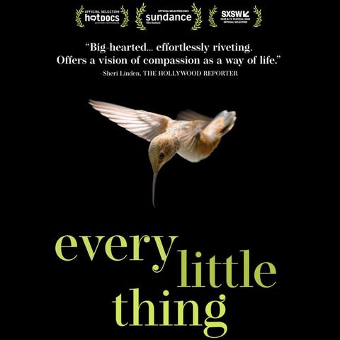 Poster for “Every Little Thing” film.