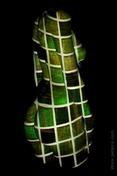 projection of a green pattern on a nude female body