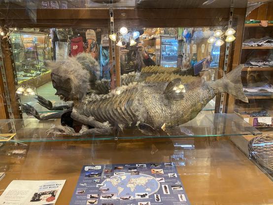A preserved merman figure is displayed in a glass case, featuring a humanoid upper body and a fish-like lower body.