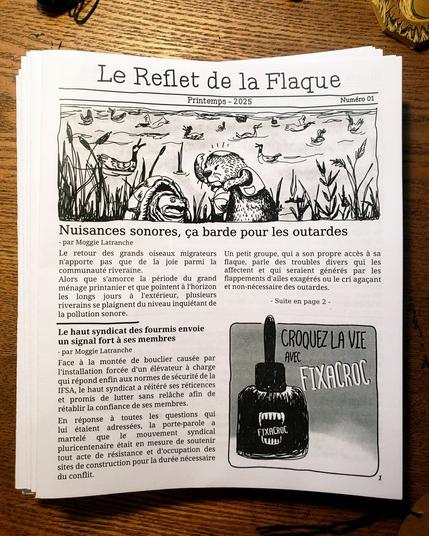 L'image représente un mini journal dont les protagonistes sont des animaux. Le nom du journal "Le Reflet de la Flaque" est un clin d'oeil au journal local " Le Reflet du Lac" (Memphrémagog).