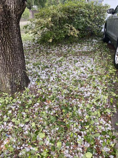 Hail stones on the ground after heavy hail storm