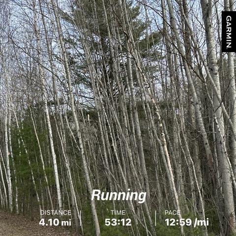 Photo rails to trails with dense, skinny birch trees on the side of the path. The photo is overlaid with running stats. 
Text reads: Garmin 
Running
Distance: 4.10 miles (6.6km)
Time: 53 min 12 sec
Pace: 12:59 /mile (8:04 /km)
Km conversion is added by me, not a part of the photo