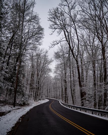 A winding road through snow covered trees