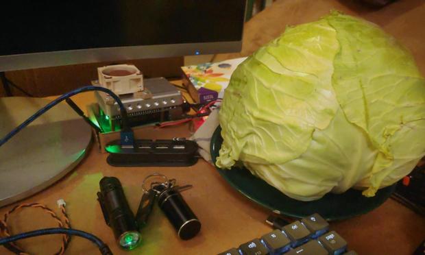 a large cabbage on a saucer next to a flat panel display partially visible at top left of frame, a single-board computer, a mini USB hub with a glowing keyboard plugged in just the corner of which is visible with keys lit up white in bottom of frame, and a small flashlight, pocket items and jumper wire. the scene is residential with evening lighting.