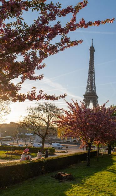 Man sieht den Eifelturm in der Morgensonne, umgeben von Kirschblüten in einem Park. Links unten sieht man eine Frau sitzen.