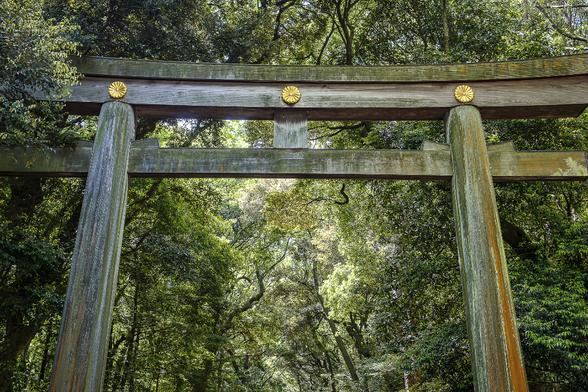 Look up view at wooden entrance gate at Meiji-Jingu shrine in Tokyo (Japan) against a background of luxuriant green trees.
