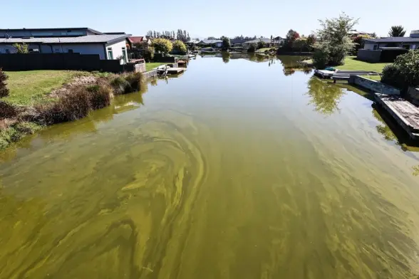 An elevated shot showing cyanobacteria infecting channels lined with houses.