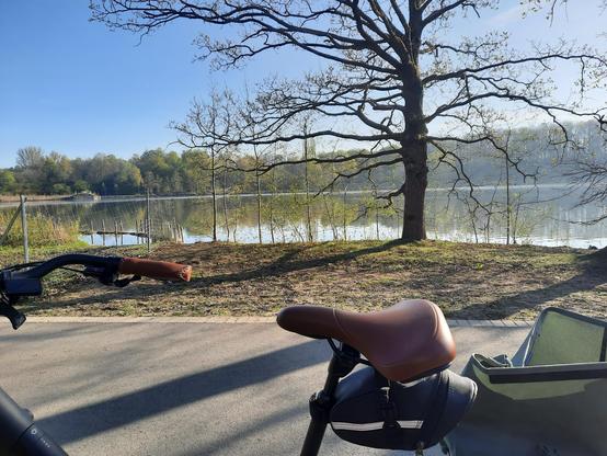Blick über einen Fahrradsattel hinweg auf den morgendlichen Ümminger See in Bochum. Wasservögel sind zu hören.