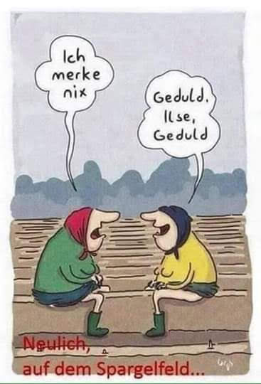 Das Bild zeigt zwei Figuren, die auf einem Spargelhügel sitzen und sich unterhalten. Die Figur links trägt eine grüne Jacke, eine rote Kopfbedeckung und grüne Stiefel. Die Figur rechts trägt eine gelbe Jacke, eine blaue Kopfbedeckung und grüne Stiefel. Beide Figuren haben große Nasen und breite Gesichter. Die Figur links sagt "Ich merke nix" und die Figur rechts antwortet "Geduld, llse, Geduld". Im Hintergrund ist ein Feld mit Bäumen zu sehen. Am unteren Rand des Bildes steht in roter Schrift "Neulich, auf dem Spargelfeld...". Die Szene spielt auf eine humorvolle Situation an, in der die Figur links ungeduldig ist und die Figur rechts ihr Geduld vermittelt