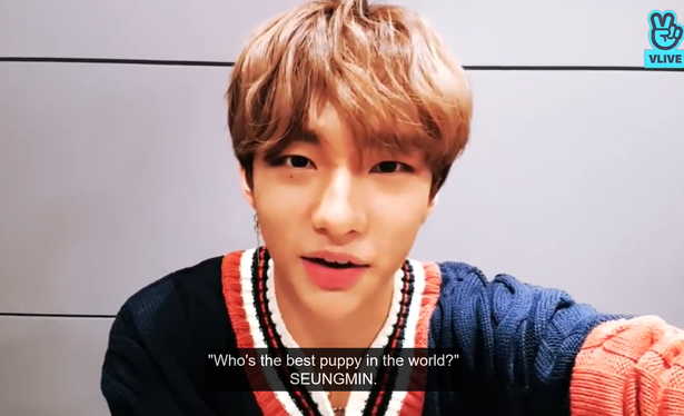 Hyunjin during a livestream reading out a viewer's question, "Who's the best puppy in the world?" and answering, "Seungmin"