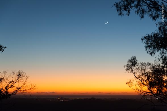 A golden dawn paints a broad horizontal stripe over the dark horizon of the sea. Below it are the pinpoint lights of a coastal strip, and below that again, a dark and invisible plain. Above the gold the sky runs from light to darker blue, where a small crescent moon hangs, waiting to be swallowed by the light. To the left and right are the dark silhouettes of close trees growing on the escarpment from which the photo is taken.