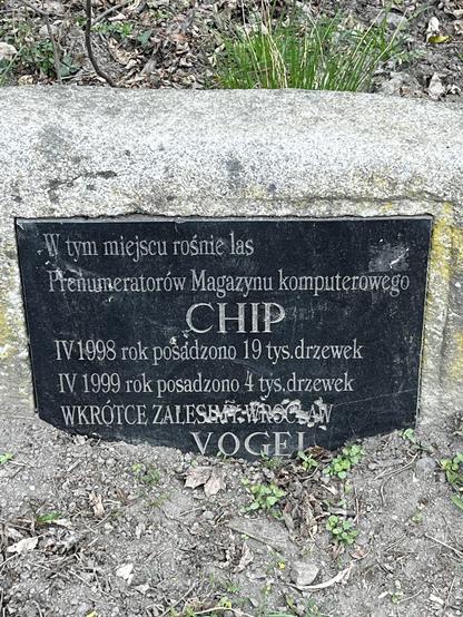 A stone plaque in a forest commemorating the planting of trees by subscribers of the computer magazine "CHIP." It notes that in April 1998, 19,000 trees were planted, and in April 1999, 4,000