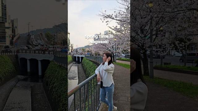 Nagasaki in Bloom: Peace, Food & Cherry Blossoms! #shorts