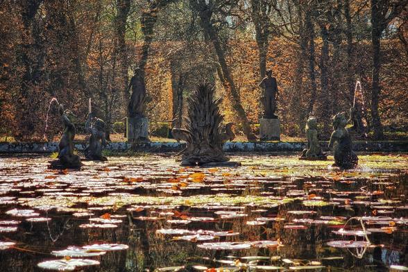 A tranquil pond filled with water lilies reflects several stone statues in a garden surrounded by trees with autumn foliage.