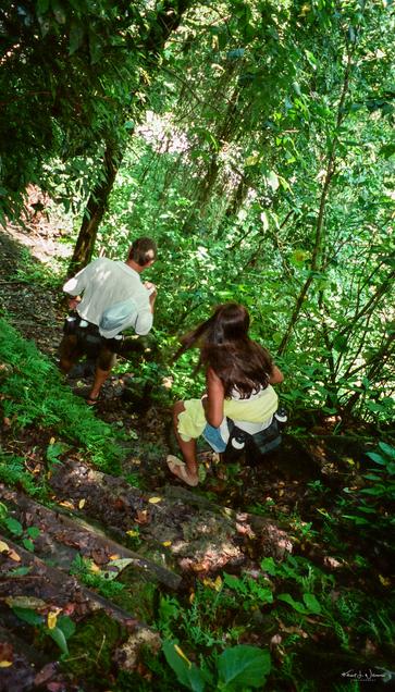 Two hikers making their way down a steep jungle trail with dense green foliage, heading towards the waterfall below.