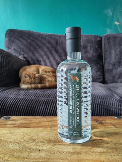 A bottle of Little Brown Dog Aberdeenshire Foraged Gin in a table. An orange cat on a sofa in the background.