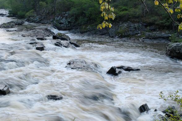 White and brown water gushing down a creek over rocks