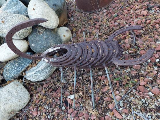 a decorative craft scorpion constructed out of horseshoes, with a fair amount of bird poop on its backside, sitting in a pine needle-strewn brick gravel yard