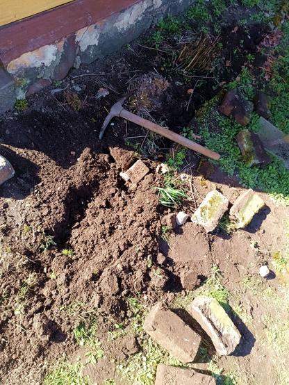 Pickaxe digging up a bunch of fly ash bricks that were two layers deep with concrete between them forming a flower bed around the foundation, which is all bad ideas. Freshly disturbed dark soil and some vegetation are around. The foundation here has been patched by some unmotivated person with a bucket of mortar.