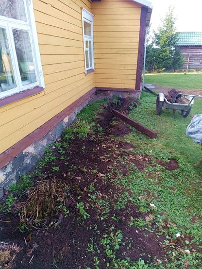 Side of the house, disturbed soil partially raked over already. Towards the far end near a wheelbarrow full of bricks, a trench has coughed up another short length of concrete pylon.