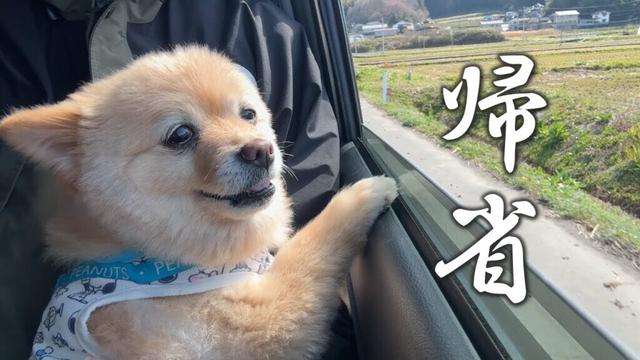 【ご報告】家庭の事情で福島の実家に帰ることになりました…
